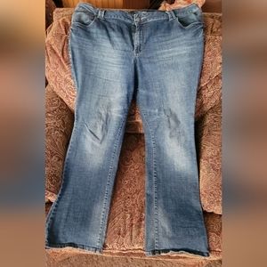 Lane Bryant Bootcut